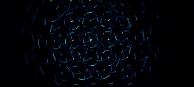 手机和平板电脑同时播放体育直播